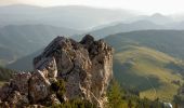 Percorso A piedi Gemeinde Reichenau an der Rax - Weichtalhaus - Kientalerhütte - Edelweißhütte (Schneeberg) - Photo 2