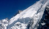 Trail On foot Chamonix-Mont-Blanc - The Grand Mulets - Photo 4