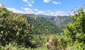 Tocht Stappen Prévenchères - la gare de Guérin gorges du Chassezac - Photo 2
