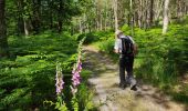 Trail Walking Fontainebleau - Le mont aigu  - Photo 8