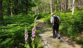 Tocht Stappen Fontainebleau - Le mont aigu  - Photo 8