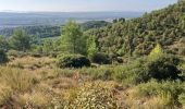 Randonnée Trail Sainte-Tulle - La Réserve et le Clapier(14,5K 270D+) - Photo 3