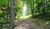 Randonnée Marche Autrans-Méaudre en Vercors - Le Gros Martel par le trou de L'enfer - Photo 18