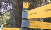 Tour Wandern Puget - PF-Puget - Les Borrys-Rochers des 11 Heures-Croix de Fer-Combe de l'Euse - Photo 2