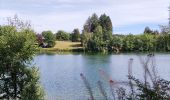 Tour Wandern Weismes - Au fil des rives du Lac   - Photo 11
