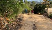 Trail Walking Le Castellet - Le vallon des martyr  - Photo 1