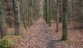Trail Walking Diepenbeek - Diepenbeek  - Photo 2