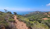 Excursión Senderismo Saint-Raphaël - 1 Les balcons du Cap Roux - Photo 17