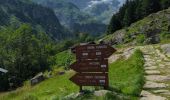 Trail Walking Alagna Valsesia - Alvania - Alpe Maller - Photo 6