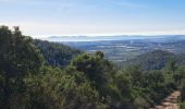 Randonnée Marche Hyères - N3 1er Borrel les mimosas sentier Philibert - Photo 4