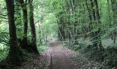 Trail Walking Saint-Malo-de-Beignon - 16.05.2019 - ST Malo de BEIGNON à GUER - Photo 2