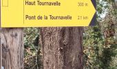 Tour Wandern Les Arcs-sur-Argens - apie de Raynaud forêt des arcs - Photo 3