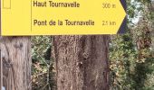 Trail Walking Les Arcs-sur-Argens - apie de Raynaud forêt des arcs - Photo 3