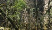 Trail Walking Lauroux - Cirque de Labeil - Lauroux-Labeil - Photo 14