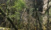 Tocht Stappen Lauroux - Cirque de Labeil - Lauroux-Labeil - Photo 14