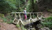 Excursión Senderismo Gérardmer - pont des fées et saut des cuves  - Photo 2