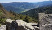 Tour Wandern Krüt - Lac de Kruth - Grand Ventron - château de Wildenstein  - Photo 20