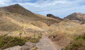 Tour Wandern Caniçal - PR8 Madère Madeira - Photo 19