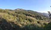Trail On foot Vaiano - Sentiero CAI 46B - Sez. Prato - Photo 1