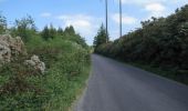 Percorso A piedi West Cork - Glanatnaw Walk - Photo 4