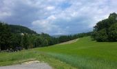 Tocht Te voet Rohrbach an der Lafnitz - Wanderweg 9 - Photo 3