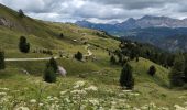 Tour Wandern St. Martin in Thurn - Vom Würzjoch um dem Peitlerkofe - Photo 7