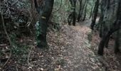 Tocht Stappen Escragnolles - Escragnolles , Rouyère chapelle Saint Matin en hiver - Photo 9