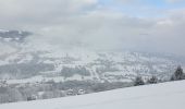 Trail Snowshoes Demi-Quartier - Darbelets(Choseaux) Prapacot - Photo 2