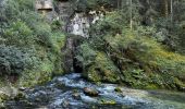 Trail Walking Mouthe - source-du-doubs 3 - Photo 1