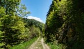 Randonnée Marche Saint-Agnan-en-Vercors - Col de Rousset - Le But de Nève - Photo 6