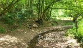 Tour Wandern Ferrières - Burnontige 180623 - Photo 8