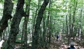 Tour Wandern Sallent de Gállego - SALLENT DE GALLEGO col de Pacino - Photo 2