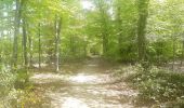 Trail Walking Esneux - à travers les bois d Anthines et d Esneux - Photo 15