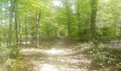 Tour Wandern Esneux - à travers les bois d Anthines et d Esneux - Photo 15