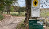 Trail On foot Binz - Gelber Strich - Photo 4