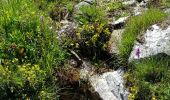 Tocht Stappen Cauterets - la boucle du Marcadau - Photo 2