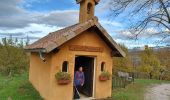 Trail Walking Saint-Nazaire-en-Royans - château de Rochechinard - Photo 1