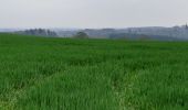 Trail Walking Anhée - campagne Denee - Photo 1