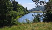 Tocht Stappen Aumessas - Lac de Pises au départ Le Travers - Photo 11