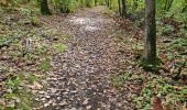 Trail Walking Vendôme - Petit parcours dans la partie Sud-est du Bois de l'Oratoire - Photo 10