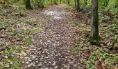 Randonnée Marche Vendôme - Petit parcours dans la partie Sud-est du Bois de l'Oratoire - Photo 10