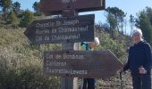 Trail Walking Châteauneuf-Villevieille - Mt Maccaron - Photo 7