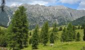 Tocht Stappen Villnöß - Funes - Puez Geisler - Gampenalm - Photo 5