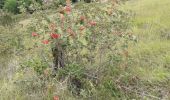 Percorso Marcia Giverny - Giverny : les coteaux vers le Vexin 13 km - Photo 1