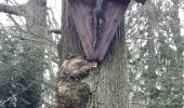 Tocht Stappen Chaudfontaine - tour du bois de la rochette - Photo 2