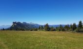 Trail Nordic walking Lans-en-Vercors - Le Vertige des Cimes en Marche Nordique - Photo 1