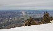 Tocht Sneeuwschoenen Autrans-Méaudre en Vercors - Pas de Nave  - Photo 7