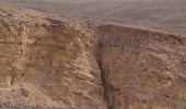 Randonnée A pied Conseil régional de Ramat Negev - שביל עריף - כרכום - Photo 4
