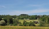 Tocht Stappen La Roche-en-Ardenne - rando samrée 30-05-2023 - Photo 18