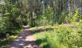 Tocht Stappen Bütgenbach - butgenbach tour du lac  - Photo 8